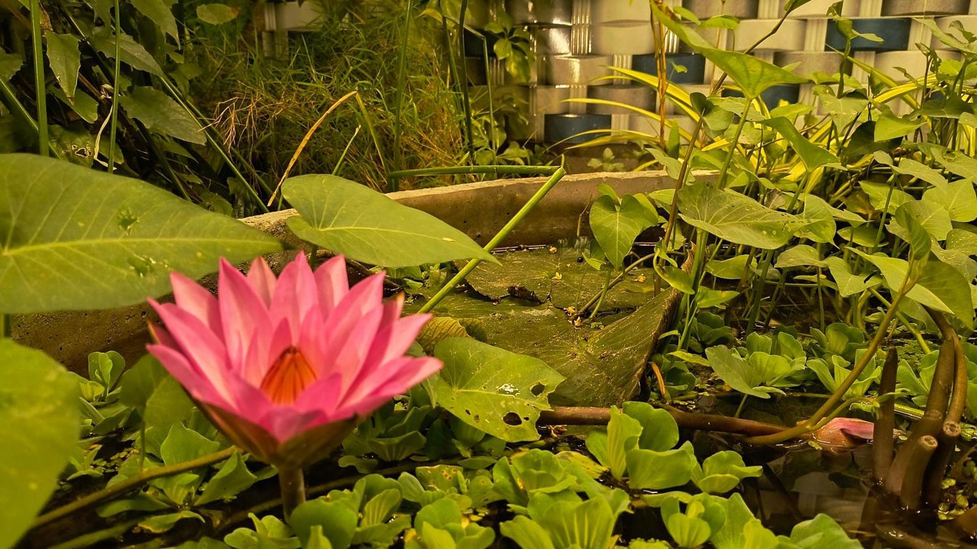 Gt Guest House Virāmpattinam Екстериор снимка